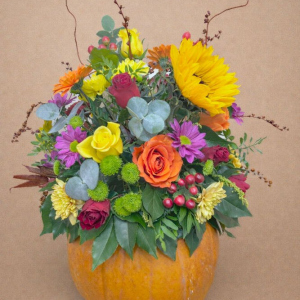 Floral pumpkin arrangement using seasonal flowers and foliage. Roses, Gerbera, Sunflowers, Thistle, Hypericum, Crysanthemum. Eucalyptus, and Ivy