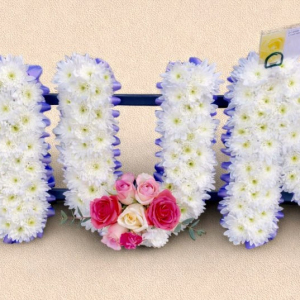 mum word, white and violet flowers with red and pink sprays