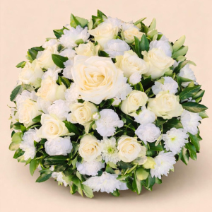 white and yellow flowers on bed of green foliage