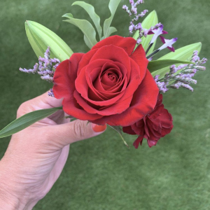posy red rose held in hand against green grass