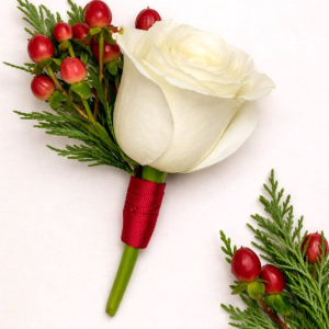 single cream rose with green leaves and red fruits