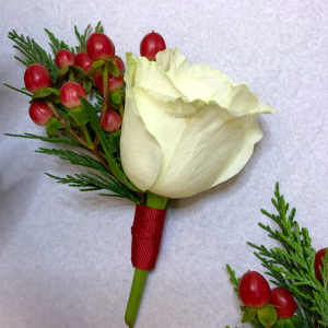 single cream rose with green leaves and red fruits